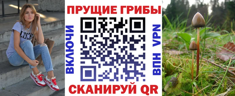 Псилоцибиновые грибы MAGIC MUSHROOMS  Купить закладки  Касли 