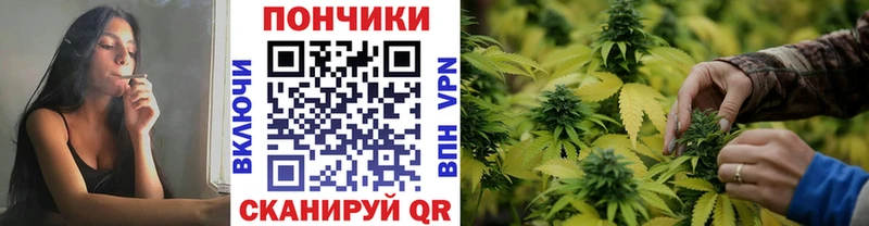 Конопля ГИДРОПОН  Купить закладки  Касли 
